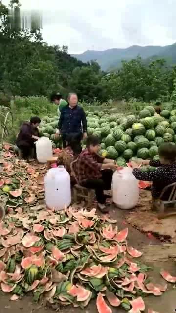 吃瓜吐瓜皮的吃瓜群众,吐瓜皮背后的社会现象解析