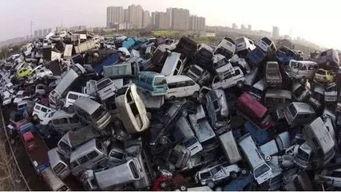 广西过年吃瓜群众事件,一场网络舆论的风波与反思