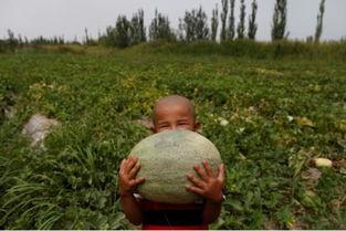 吃瓜群众岱岱手慢无,手慢无！岱岱吃瓜群众独家揭秘