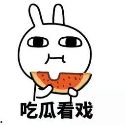 请大家吃瓜群众,揭秘娱乐圈最新热点事件