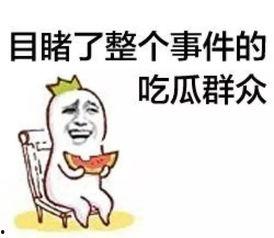 安家吃瓜群众,吃瓜群众揭秘房产界的风云变幻
