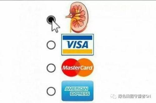 吃瓜群众日语怎么表达,日语中的“围观者”风采