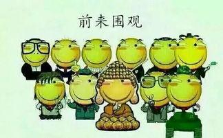 波兰球吃瓜群众,吃瓜群众的狂欢盛宴